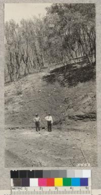 Bed of Mitchell Creek and fine grove of live oaks completely wiped out by Mt. Diablo fire of 1931. W. Metcalf - July 1931