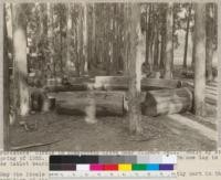 Foresters' Circle in Eucalyptus Grove near Hilgard Hall. Built by students in spring of 1922. Logs donated by Union Lumber Company. On one log is a bronze tablet bearing the words: "FORESTERS' CIRCLE. May the ideals fostered around this campfire play a worthy part in the conservation of the beauty and usefulness of our forests. Gift of Union Lumber Company."