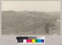 Looking south along the ridge route highway over the Tehachapi Mountains. Typical chaparral covered slopes of southern California mountains. February, 1923