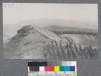 View southward along the top of the ridge in the Berkeley hills east of Richmond, California. Showing the easterly edge of the Blue Gum plantation, and the cut in the hillside made by the stone quarry. December 1917. Metcalf. [Now part of Wildcat Canyon Regional Park?]