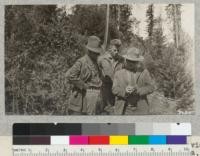 A fine golden leaf Chinquapin (Castanopsis chrysophylla) with redwoods and tanbark oak along road above camp 28, Ten-Mile River, Mendocino County. Peters, Davis and Kotok. August 1926