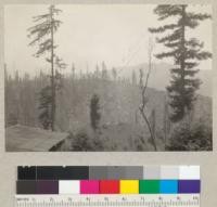 A poor picture but it shows the contrast between clean logging by steam of Pacific Lumber Company in 1929 and later split products operation to left (east) by George Mathews. Above South Fork, Humboldt County. Aug. 13, 1935 E.F