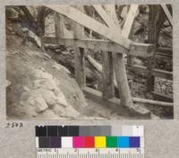 Trestle-showing method of stepping on cross slopes - Madera Sugar Pine Lumber Company. 1923