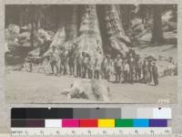 The Fresno Agricultural Club boys at the General Grant tree, General Grant National Park, 1926. (Sequoia National Park)