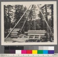 Loading logs at landing. Sierra Nevada Wood and Lumber Company