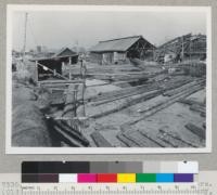 Douglas fir region. Mahoney and Chambers. (Old Cameron Mill). 11th & Jackson St., Albany, Oregon. Showing type of second growth logs. See also 7333-6. Sept. 10, 1945. E. F