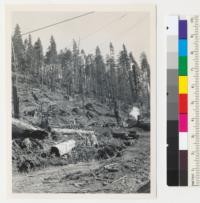 Redwood Region. Selective logging, showing debris at and near landing. Humboldt County, California. June 1943. E.F