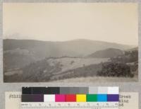 Redwood Region. Looking across Redwood Creek Canyon from Korbel-Weaverville Road, looking westward. Slope facing camera is redwood covered. Humboldt County, California. Nov. 1929, E.F