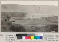 Erosion on the hillsides of Oak Creek, Tehachapi Mountains by storm of September 1932, when 4.32 inches of rain fell in 5 hours at Tehachapi. Flood depth in this creek a little below this point was 6.9 feet with a width of 240 feet. Metcalf