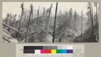 Panorama of selective cutting. Gulch 2, Union Lumber Company. Ten Mile River operation. Completed May, 1937. A high lead operation. See also 6387 and 6391. 5/22/37 E.F