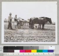 State Forest Nurseryman Ray Doney with assistant and team. May, 1942. State Division of Forestry