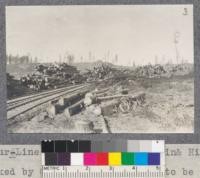 Logs decked by Clyde 4-Line Skidder. Sheolin & Hixon Lumber Company. Bend, Oregon