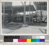 Seltzer lumber sorter. Exit end; left side