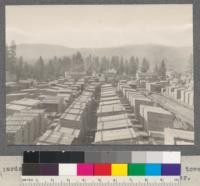 Yards at Hobart Mills, California. View from the watch tower