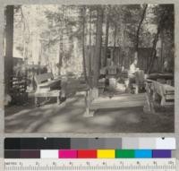 Camp Califorest. "Ship yard". "Production line" for building seats for new camp fire circle. Fritz to left, Seale to right. July 6, 1939