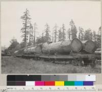 Redwood logs yarded by tractors. On cars at Carlotta. Hammond & Little River Redwood Company. June 1935. E.F