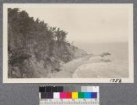 Along the edges of the peninsula grove and at intervals among the eucalyptus were planted Monterey Pines. This shows north point of peninsula looking north toward San Francisco. Coyote Point, near Pacific City, San Mateo County