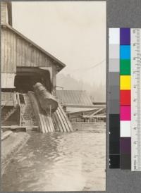 Endless Chain Log Haul-up. Note width of trough. Northwestern Lumber Company, near Willits, California. April, 1920. E. F