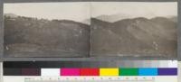 1. Second picture in panorama of Temescal watershed showing Monterey Pine plantations 12 years old. 2. 3d picture in panorama. Looking south towards tunnel. Berkeley Hills