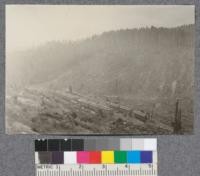 Camp of The Pacific Lumber Company, Freshwater. D. Bruce, Sept. 1922. 4.331