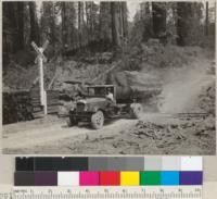 Truck logging at Hammond's Carlotta operation. This lot of logs taken out by steam by contractor Harvey Kohinka & by truck to Carlotta station. Log on truck is 64" diameter x 20' long. Aug. 20, 1935. E.F