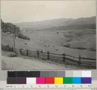 The redwood forest often breaks off sharply to woodland or grassy prairies, much used for sheep grazing. View southward from Sherwood Road and about one mile from Willits. 5/23/37. E. F