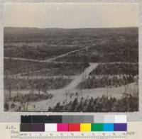 Northeast from tower at Houghton Lake State Forest Headquarters, Michigan. Norway Pine plantings and fire lines. May, 1924. Schaaf