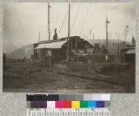 Willamette electric yarder - Freshwater operation, Pacific Lumber Company, 1923. 4.3241