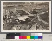 1- Part of yard. 2- Dry shed #1, uppers. 3- Box factory. 4- Box factory warehouse. 5- Fire wood; trimmer ends for local sale. 6- Planing mill shaving pile, storage for winter. Pile now extends over creek and is enclosed by fence. 7- S.P.R.R. [Southern Pacific Railroad] branch from Reno Jct. 8- Hogs for planing mill and box factory refuse. 9- Elevated fire hydrant and nozzle