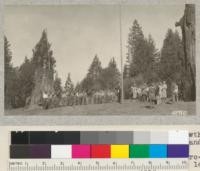 The pole was cut in a second-growth stand of white fir 50 years ild and set up by the whole camp. This shows the flag raising after appropriate Flag Day ceremonies, June 14, 1927. Metcalf