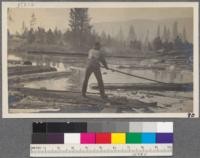 Pond man - with pike pole - Clio, California