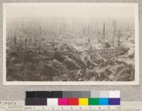 No. 159279 Forest Service. Hammond Lumber Company, east of Trinidad, 1916-1917 logging. Showing flat topography and stumps of heavy stand cut. Humboldt County