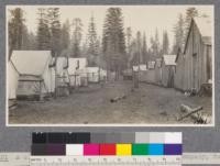 A clean camp street, McCloud River Lumber Company, California