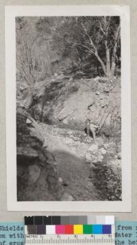 (A) - Shields Canyon, East Fork, taken from ridge at junction with west fork looking east. Water level at start of erosion was approximately at the height of the pipe some 2 feet below the ground level under an oak at right of picture