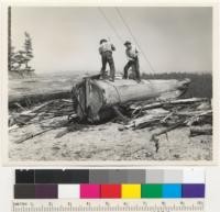 Redwood. Peeling at the landing. Elk River Mill and Lumber Company. Elk River, Humboldt County, California. 7-22-42. E. F