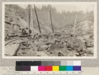 No. 161055 Forest Service. Union Lumber Company. Freshly logged redwood land. Railroad and machine in foreground