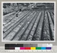 Douglas fir region. Second-growth mill; Eugene Lumber Company, Eugene, Orgeon. Smallest logs 8-12" at top end. Producing #4 common and better and structurals. #2 and #3 logs $18.00 at pond. Timber 50-80 years old. Circular head rig, 2 - 44" saws. This mill in business about 20 years on small timber. See also 7329-7332. Sept. 9, 1945 E. F