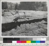 Splitting 48'' x 24' redwood log at Nash's. The operator has stepped aside while saw is running. Note heavy sawdust heaps. Note also center wedge to take weight of log off saw. See also 7403-7. 10-31-47. E.F