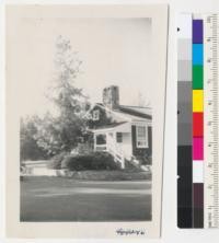 Sweet gum, Liquidambar styraciflua, at Institute of Forest Genetics near office. Oct. 1951