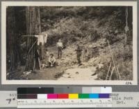 Geary, Blair, and Mr. Boyd in camp among incense cedars on Dead Man's Hill, Middle Fork Feather River. August 1917