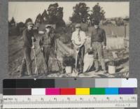 The class in Forestry 106, Artificial Reproduction, fall of 1916. Transplant stock ready for planting in Strawberry Canyon