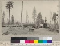 A roading donkey used also for loading, Spanish Peak Lumber Company near Quincy, California. Photo shows a seven ton truck just leaving the loading tree. The lead block on this spar tree is higher than the 35 feet required by the Forest Service, higher blocks being permitted for roading