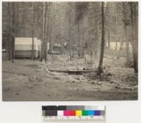 Camp Califorest. Schneider Creek. Upstream from door of tent #3. 6/13/36 E.F