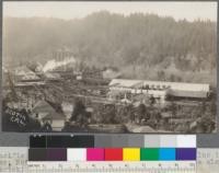 Pacific Lumber Company, Mill A at Scotia, California. Dry kilns in right center; note runways for monorail transfer car; note also open burner (brick). Prior to 1920