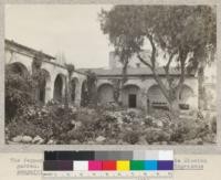 The Pepper Tree (Schinius molli) in an old California Mission garden. Note also the slender Italian cypress (Cupressus sempervirens). A. Hall, March, 1925