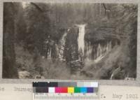 Burney Falls, State Park. W. Metcalf. May 1931