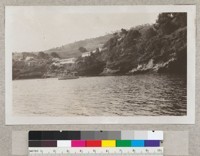 Pelican Bay, Santa Cruz Island. June 1931