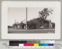 Ruins of Dinah's Shack restaurant on the coast highway, Santa Clara County after fire of spring, 1942. Probably from a cigarette on some of the furniture. Metcalf