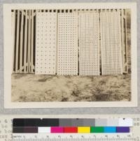 The 4 types of veneer planting boards which appear to be the most practicable of the various devices. The board at the left has holes 3" apart which makes 16 holes per square foot; the others have 49, 100 and 196 holes per square foot respectively. The holes are 1/2" diameter. April 21, 1926