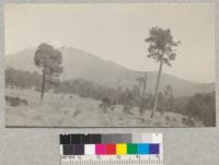 Mt. Ixatcihuatl from the slopes of Mt. Popocatapetl, Mexico. De Reygadas, December 1922